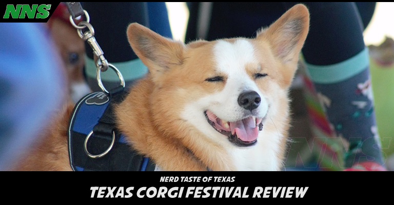 Texas Tech Red Raiders on X: Two words: 🏁 CORGI RACE 🏁 Enter your corgi  to compete at halftime of the @TexasTechMBB game on Jan. 3, and stay tuned  as we hold